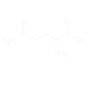 گلوتامین-Z&M-HARDCORE-L-GLUTAMINE-5000-3
