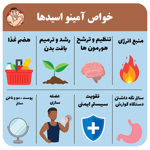 آمینو اسید