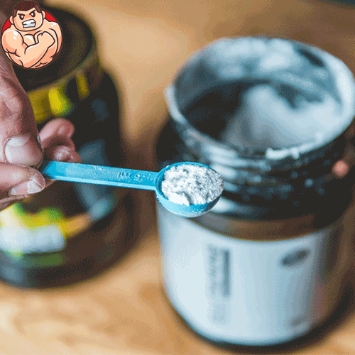 گلوتامین چیست ؟ 4 دلیل اصلی برای مصرف ! 2 گلوتامین چیست