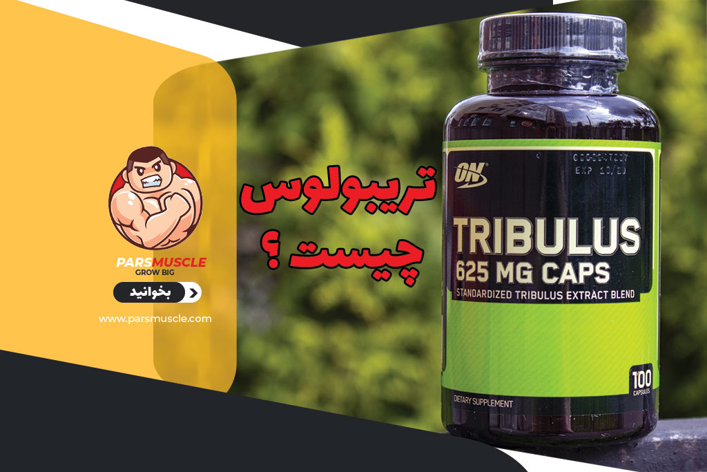 تریبولوس چیست ؟