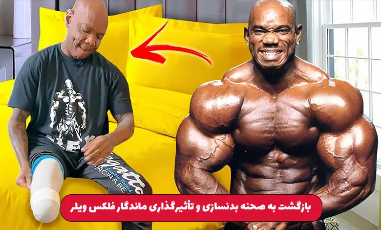فلکس ویلر که بود و چه کرد ؟ 2 بازگشت به صحنه بدنسازی و تأثیرگذاری ماندگار فلکس ویلر