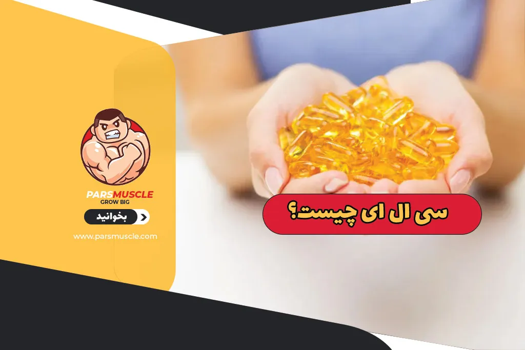 سی ال ای چیست ؟
