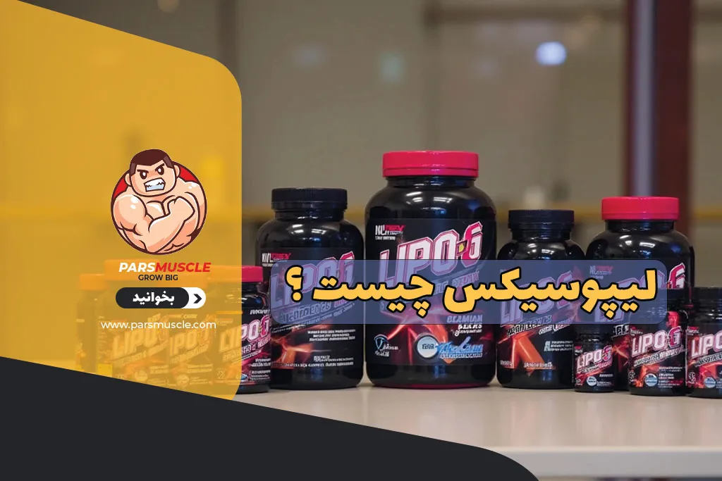 لیپوسیکس چیست