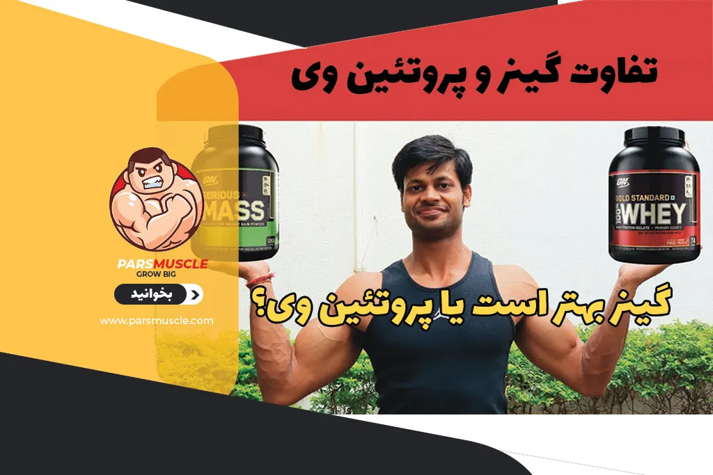 گینر بهتر است یا پروتئین وی ؟
