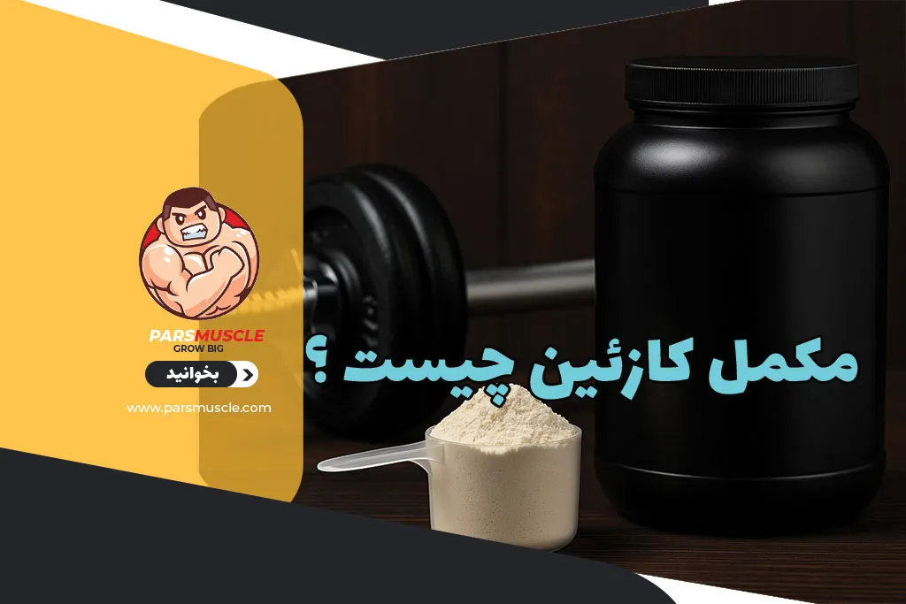 مکمل کازئین چیست ؟