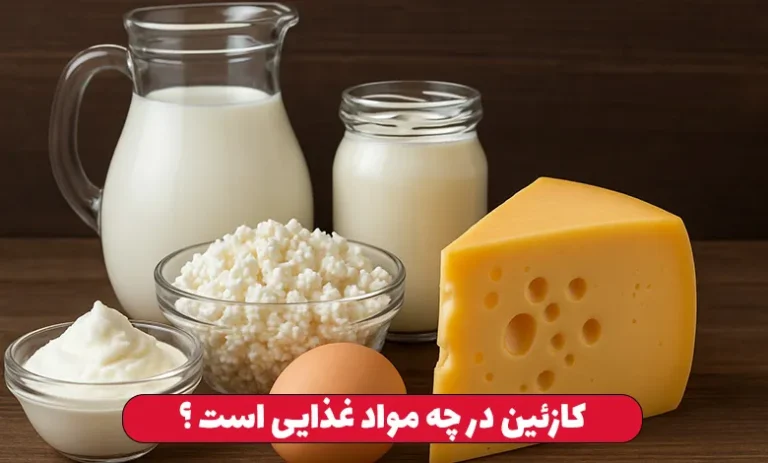 مکمل کازئین چیست ؟ 2 کازئین در چه مواد غذایی است ؟